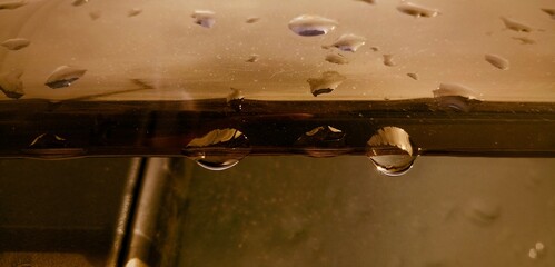 rain drops