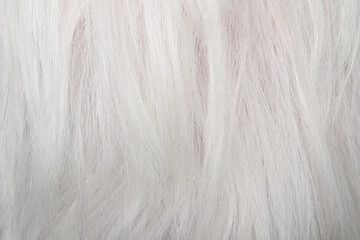 Obraz premium textura de pelo canoso como fondo
