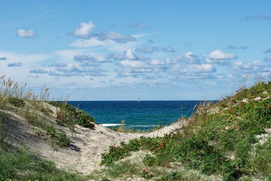 D&uuml;nenlandschaft  zwischen Liseleje Strand und Tisvildelje Strand, Seeland, D&auml;nemark,