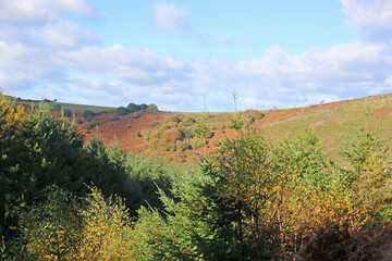 Obraz premium Teign Valley, Devon in Autumn 