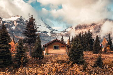Wooden hut with Assiniboine mountain in autumn forest at provincial park - obrazy, fototapety, plakaty