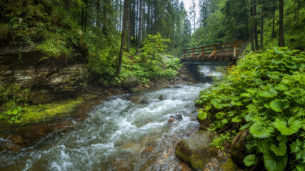 Potok w tatrach © KrzysztofAleksander