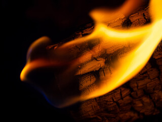Soft Flames Burning Wood