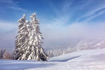 Fototapeta na wymiar Snow landscape, Mont Salève, Archamps, France 