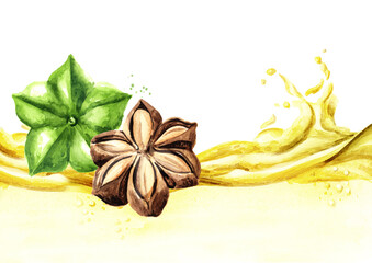 Sacha Inchi oil wave. Watercolor hand drawn illustration, isolated on white background