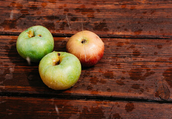 Splashes of clean water pour over freshly picked apples of the autumn harvest. Red and green apples lie on the mahogany wooden kitchen table, and water drips from the top.