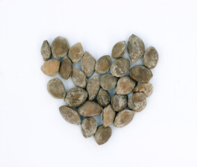 Heart symbol made of nuts. Apricot nuts white background. 