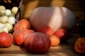 autumn still life with pumpkins