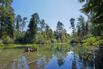 Aare bei Belp, Bern, Schweiz