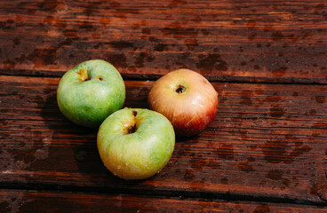 Fresh apples, autumn harvest. Three apples - green, yellow, and red-lie on a wooden table. Fresh apples on a wood textured brown background, mahogany material.