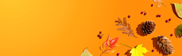 Colorful autumn leaves with pinecones overhead view - flat lay