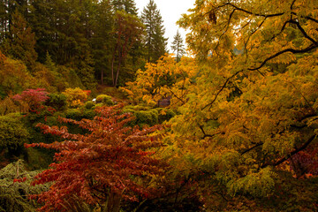 Indian summer in den Butcharts Garden