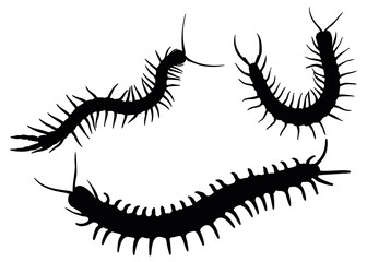 Centipedes in the set. Pests and parasites.