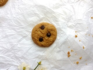 brown soft cookies with chocochips topping. cookies on the white background