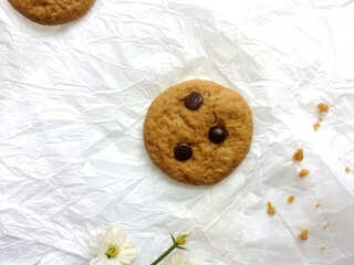 brown soft cookies with chocochips topping. cookies on the white background