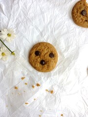 brown soft cookies with chocochips topping. cookies on the white background