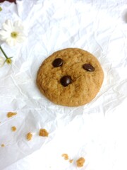 brown soft cookies with chocochips topping. cookies on the white background