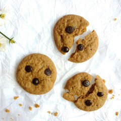brown soft cookies with chocochips topping. cookies on the white background