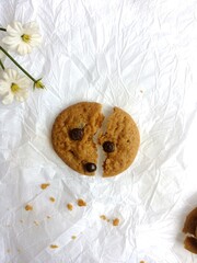 brown soft cookies with chocochips topping. cookies on the white background