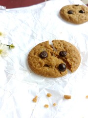 brown soft cookies with chocochips topping. cookies on the white background