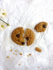 brown soft cookies with chocochips topping. cookies on the white background