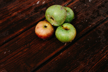 Splashes of clean water pour over freshly picked apples of the autumn harvest. Red and green apples lie on the mahogany wooden kitchen table, and water drips from the top.