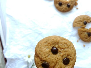brown soft cookies with chocochips topping. cookies on the white background
