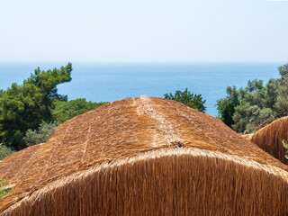 Sunny thatched hut against a clear blue sky and sea.