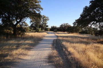 Camino rustico