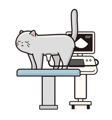 動物病院でエコー検査を受ける猫