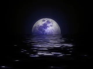 Tableaux ronds sur plexiglas Anti-reflet Pleine Lune arbre Lune sur l& 39 eau