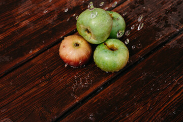 Splashes of clean water pour over freshly picked apples of the autumn harvest. Red and green apples lie on the mahogany wooden kitchen table, and water drips from the top.