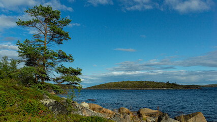 Fototapeta na wymiar Idyllic landscape with pine trees, rocky coast, coastline and sea. Sunny day, Northern nature.