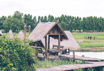 Fototapeta na wymiar A hut or Cottage in a rice field ,Paddy field