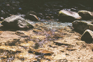 Beautiful Forest Landscape,  Stream Flowing Water, Mountain Creek, Summer Day In Nature