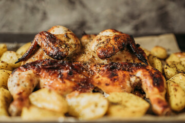 Grilled or roasted Chicken Tobacco on paper over baking sheet . Homemade freshly baked whole juicy chicken with potatoes, herbs, pepper. Selective focus, close up view. Organic country food.