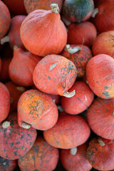 Red Pumpkins stacked over each other