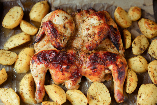 Grilled or roasted Chicken Tobacco on paper over baking sheet . Homemade freshly baked whole juicy chicken with potatoes, herbs, pepper. Selective focus, close up view. Organic country food.