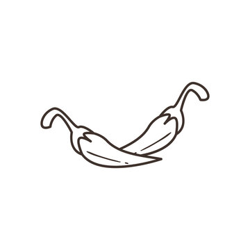 chillis vegetable free form line style icon vector design
