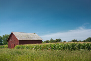 Red Barn on Corn Field