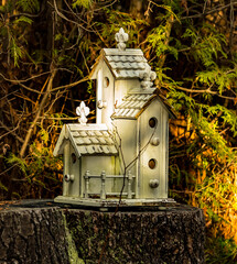 bird house on tree