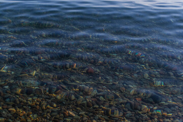 multicolored red orange yellow colored pebbles in the clear blue water of lake baikal, shore, ripples, summer