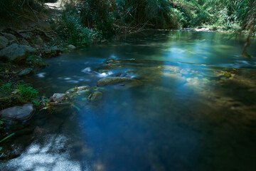 River of transparent waters among the vegetation