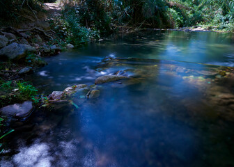 River of transparent waters among the vegetation