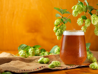 A glass of hopped beer or IPA on a wooden table with hop cones