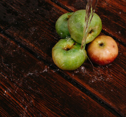 Splashes of clean water pour over freshly picked apples of the autumn harvest. Red and green apples lie on the mahogany wooden kitchen table, and water drips from the top.