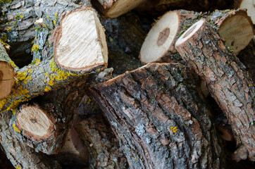 fabulous smells of warm summer