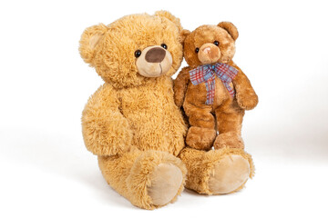 Teddy bear with little bear on white background.