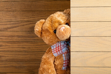 Teddy bear standing indoors
