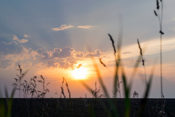 Beautiful sunset in cloudy weather on a meadow, with blurred ears and blades of grass in the foreground.